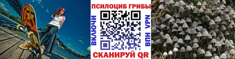 Псилоцибиновые грибы Cubensis  Купить закладки  Верхнеуральск 